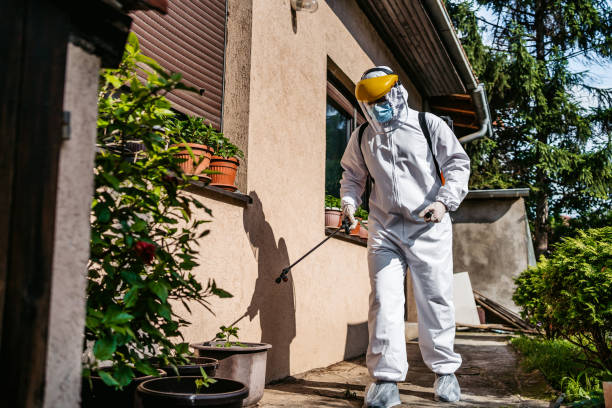 Best Pest Removal Services  in Northwest Harbor, NY