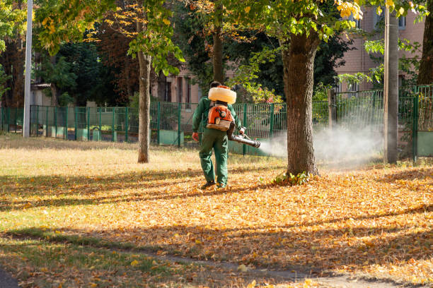 Best Pest Removal Services  in Northwest Harbor, NY